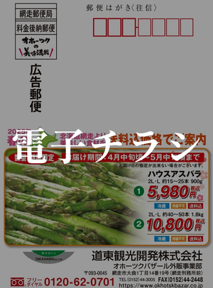 電子チラシ