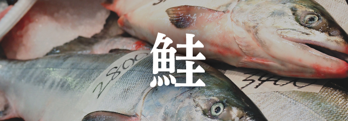 鮭