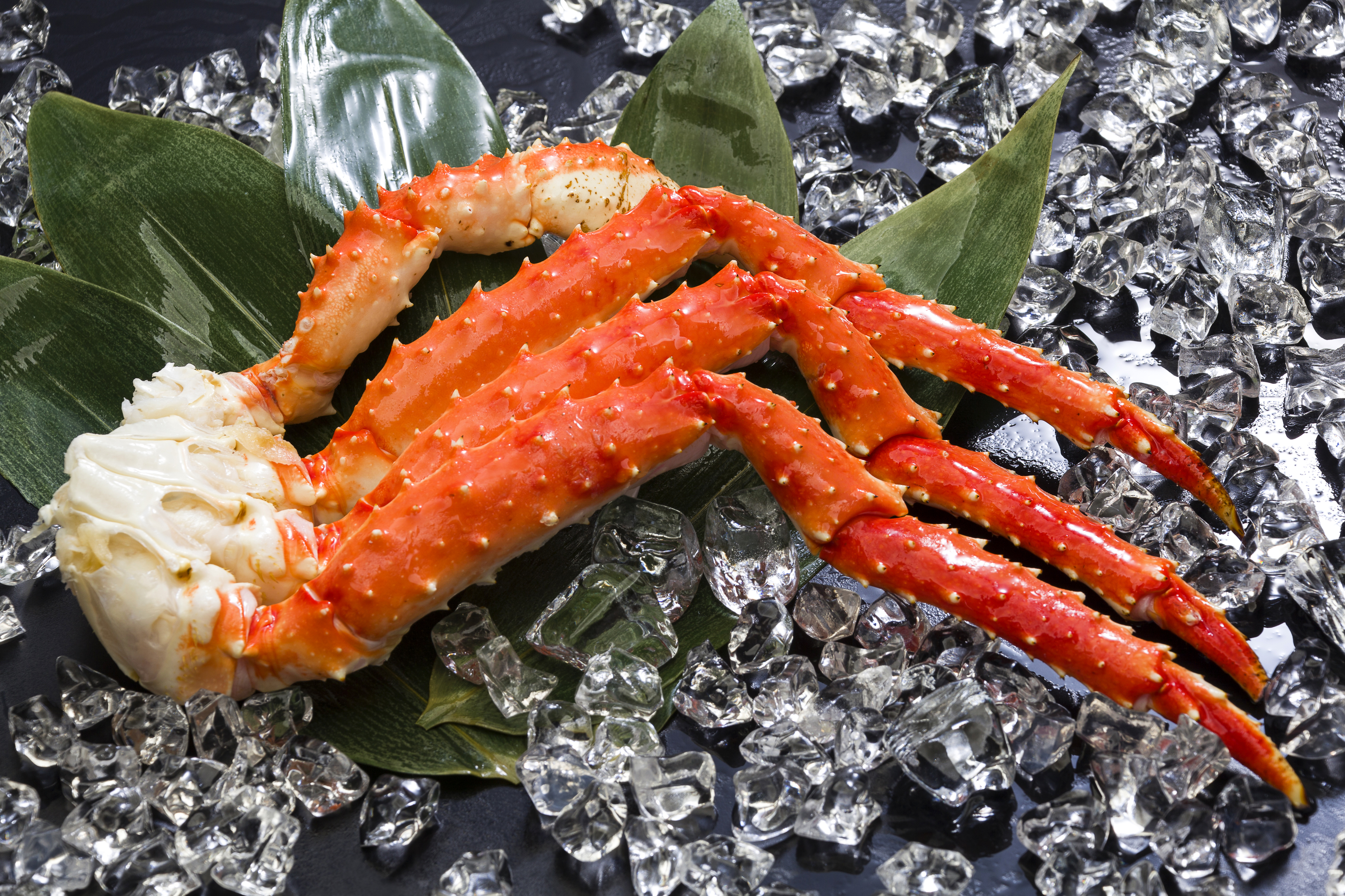 【数量限定】ボイルたらば蟹(脚)Mサイズ　約600g