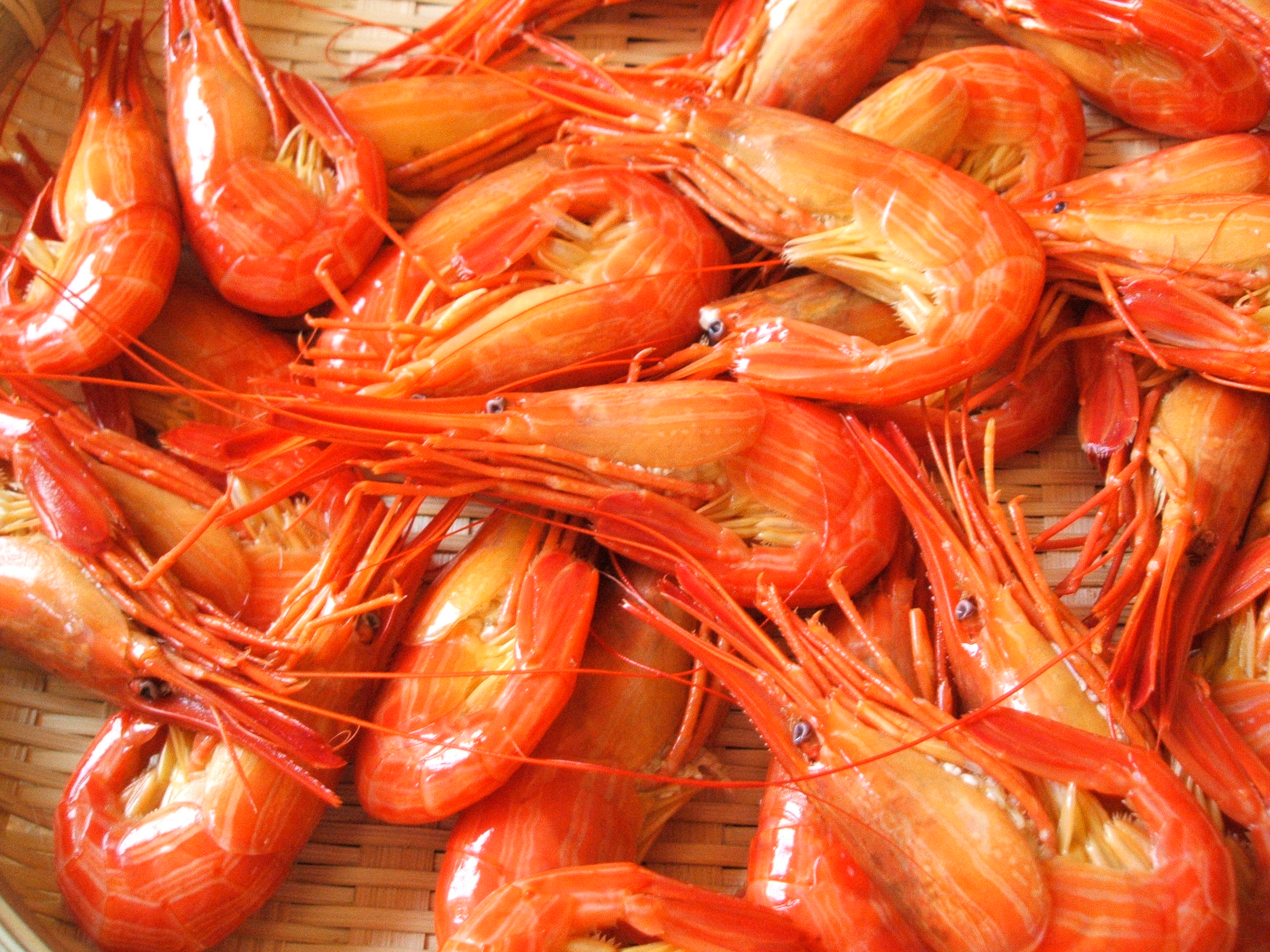 北海しまえび　250ｇ