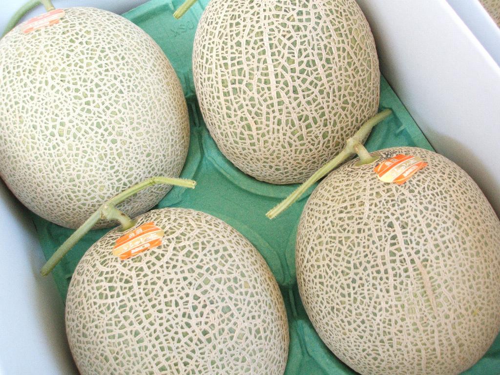 北海道赤肉メロン　8kg　4玉【送料込】 8月からのお届け