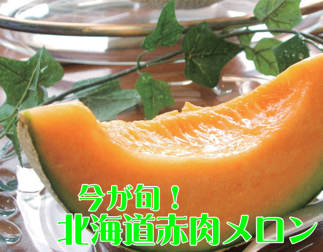 【送料込】北海道赤肉メロン約1.6kg×1玉
