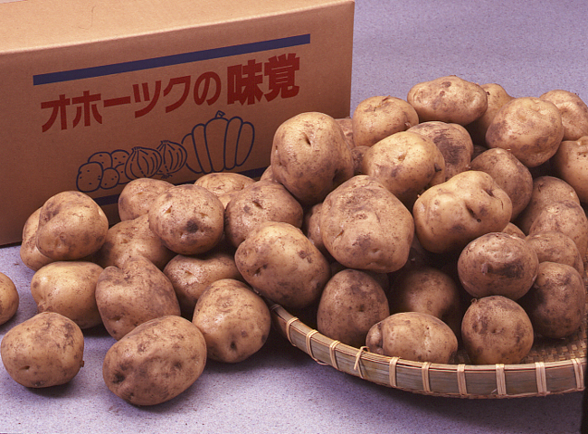 【送料込】北海道産　男爵いも(Lサイズ・5kg)