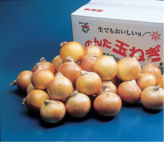 【送料込】（サラダ用) 玉ねぎ　約10ｋｇ