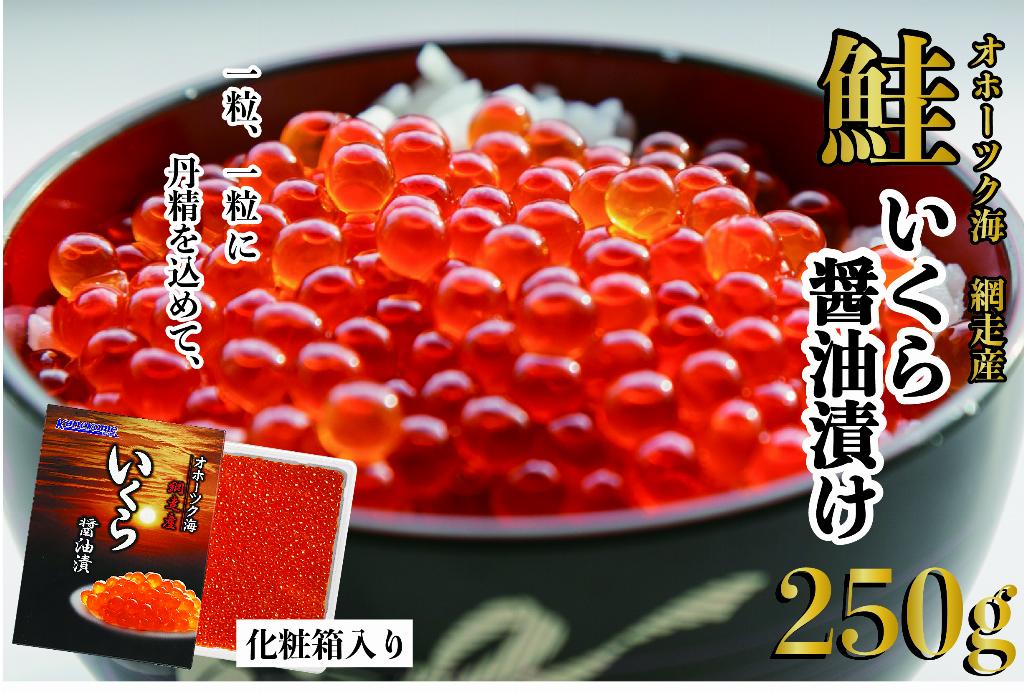 【商品番号47】 網走産 鮭のいくら醤油漬 250g1箱 【商品番号47】 網走産 鮭のいくら醤油漬 250g1箱