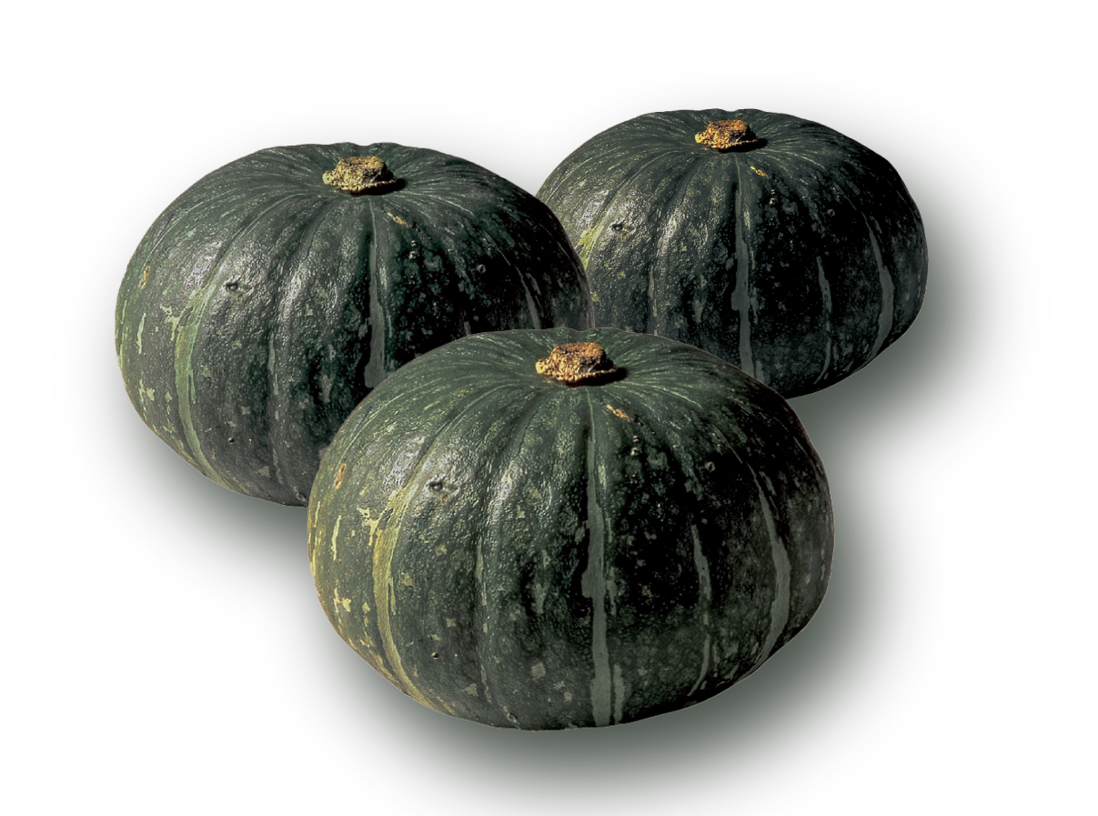 【送料込】かぼちゃ　約10kg