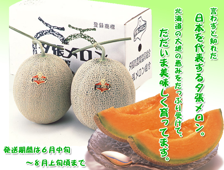 【送料込】夕張メロン【良品】 約1.3kg×2玉 【送料込】夕張メロン【良品】 約1.3kg×2玉